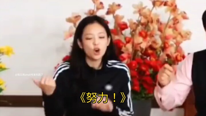 【เจนนี่】ทั้งเป็นราชินีแห่งวาทศิลป์และราชินีแห่งสกีต ไม่มีใครสามารถต้านทานความน่ารักไร้เทียมทานของแมว