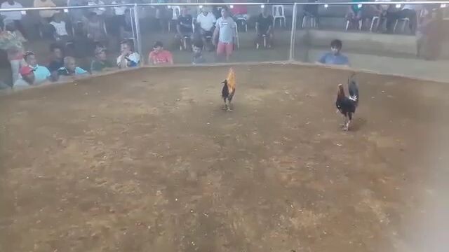 loss hindi pinalad Ang 1x winner