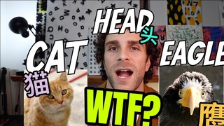 ชื่อสัตว์จีนทำให้ชาวต่างชาติประหลาดใจ