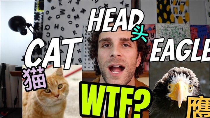 The Chinese names of animals surprise foreigners