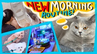 2022 Morning Routine with My Two Toy Poodles and a New Cat | Dogs and Cats | The Poodle Mom