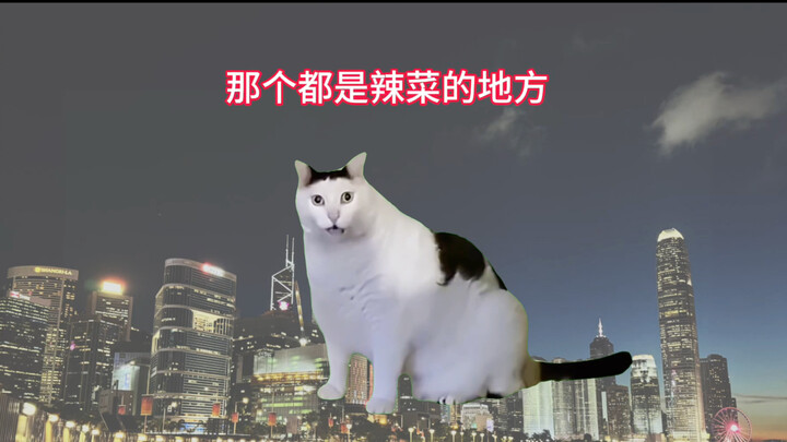 法国人第一次去四川玩，感到震惊的事！