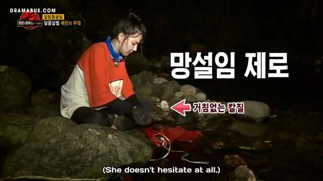 eng sub law of the jungle 281