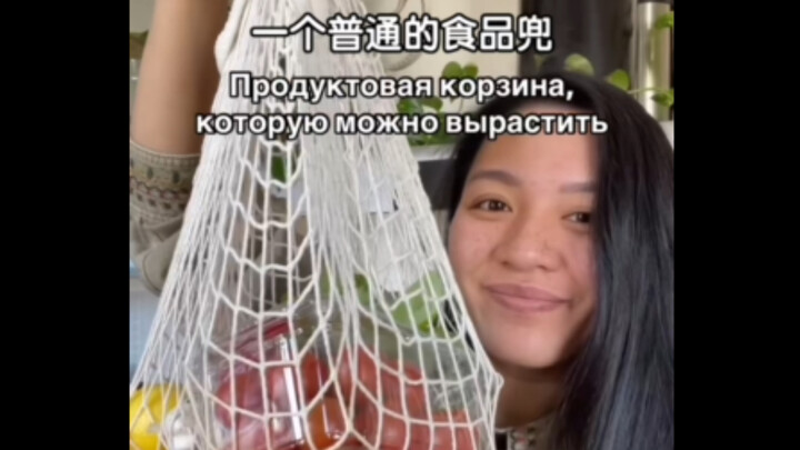 An Ordinary Food Bag