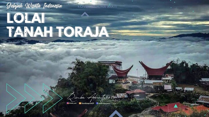 Lolai Negeri diatas awan Tanah Toraja