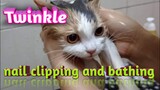 Twinkle nail clipping and bathing