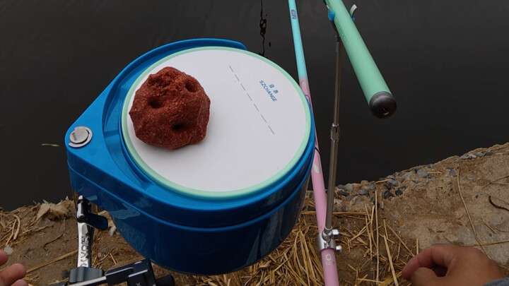 Ikan di musim semi membuatku sampai meragukan kehidupan!