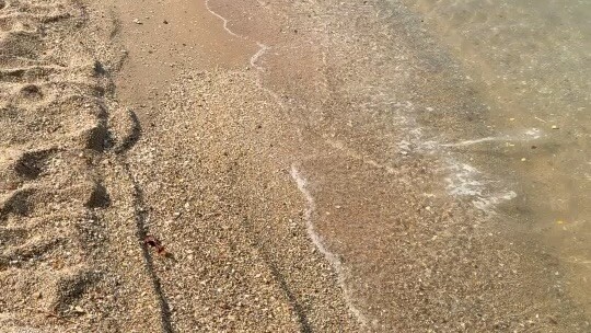 🌊