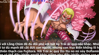 Trái ác quỷ hệ Paramecia mạnh hơn Logia One Piece p3