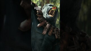 Kingdom of the Planet of the Apes I Wonderful Day