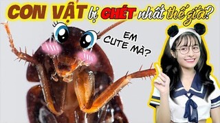 7 Con Vật Cả Quả Đất Này Ai Cũng "Không Ưa Nổi"