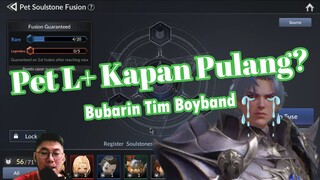 Bubarin Tim Boyband + Road To Pet L+ [Seven Knights 2]