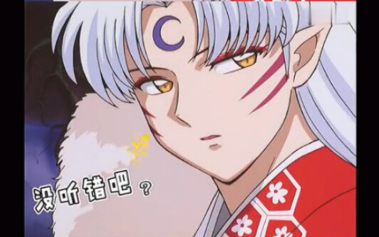 The only woman who dares to scold Sesshomaru and is still alive and well... My brother is really ver
