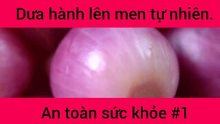 Dưa hành lên men tự nhiên an toàn sức khỏe phần 1