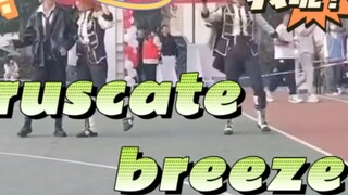 There is no tacit understanding of the temporary group coruscate breeze/ Ensemble Stars