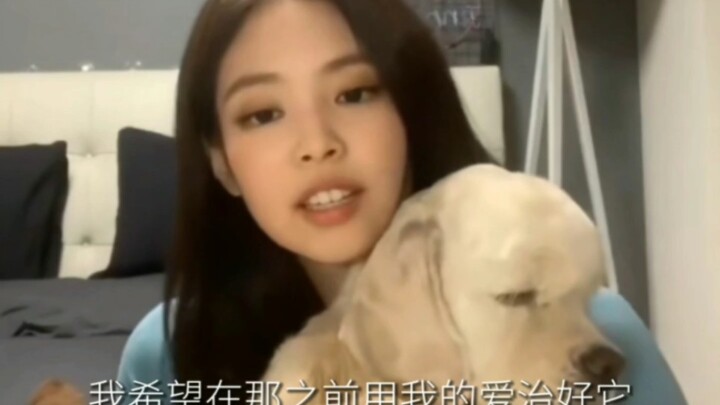 【JENNIE】Chân thành là tuyệt chiêu của cô ấy