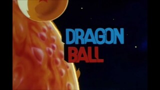 N°19 Dragon Ball