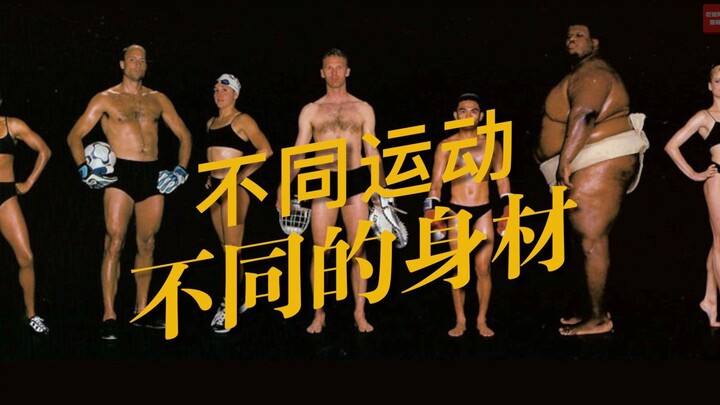 不同运动 不同的身材 | 运动如何影响体型的？