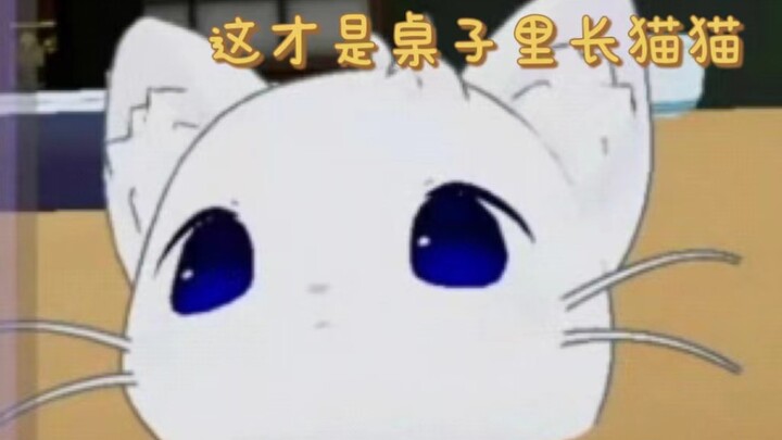 【奏kanade/切】关于猫和桌子 以及非要卡点下播的屑猫