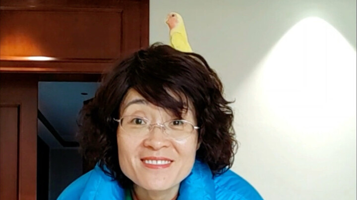 Đậu Bao, về nhà đi!