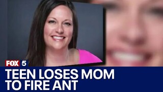 Single fire ant bite kills Georgia mom | FOX 5 News