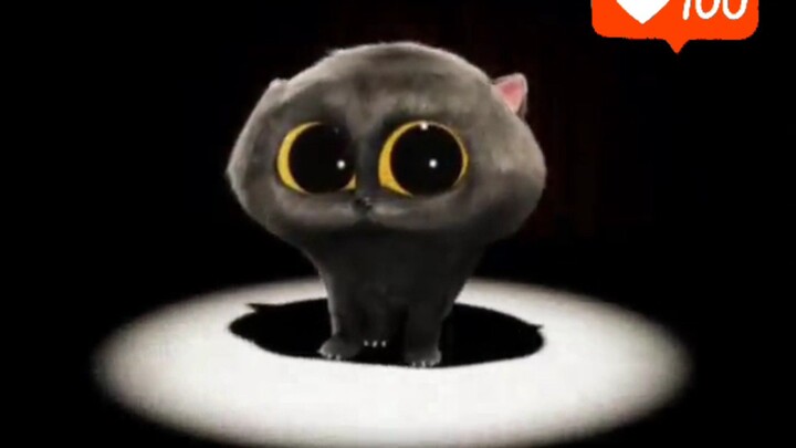 KITTEH KITTEH Scatman Cat (SKI-BA-BOB-BA-DOB-BOB)