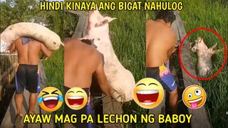 yung di kinaya ang bigat ng baboy na Le lechonin' nahulog tuloy si kuya' 😂🤣 | Pinoy funny videos