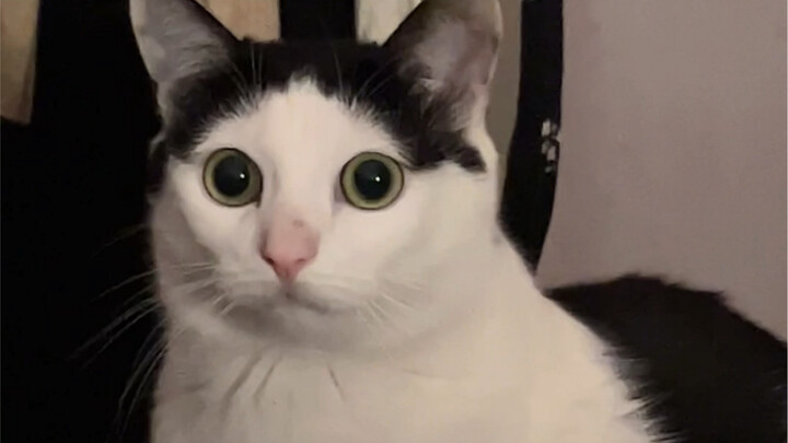 Mau-mau aja malas, mending malas yang ceria!