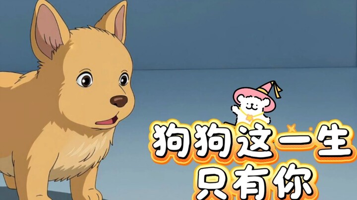 A puppy has 300 million olfactory receptor cells. With this system, it engraves its mother’s scent i