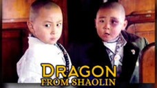 Dragon from Shaolin (1996) dubbing Indonesia