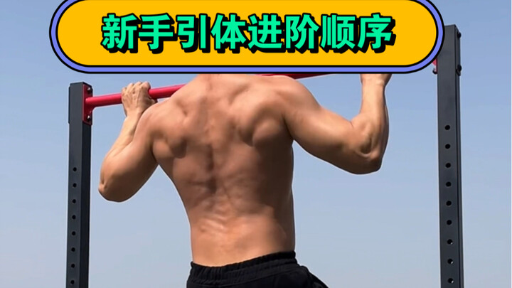 Have you mastered the progression sequence for pull-ups as a beginner?