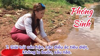 10 CÔNG ĐỨC PHÓNG SINH|Phật giáo.