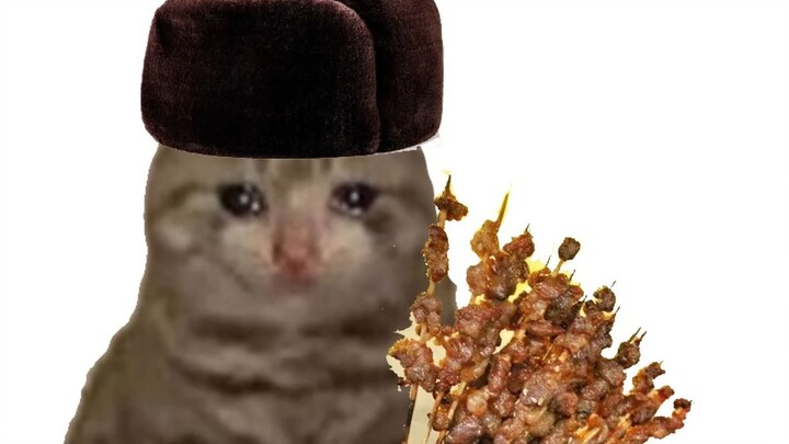 Kucing croissant, tapi dari Timur Laut