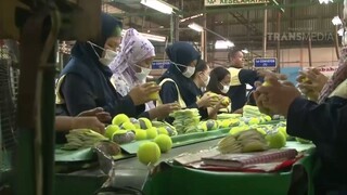 09 Laptop Si Unyil - Pabrik Bola Tenis