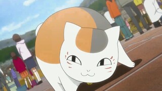 แม้ว่า Niangkou Sansan จะน่ารักมาก แต่ก็ไม่มีใครทำอะไรเขาได้ถ้าเขากลายเป็นคนโหดเหี้ยม! ซานซานผู้น่าก