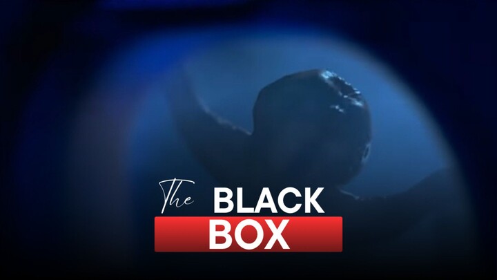 BLACK BOX: What Happened to Flight 298
