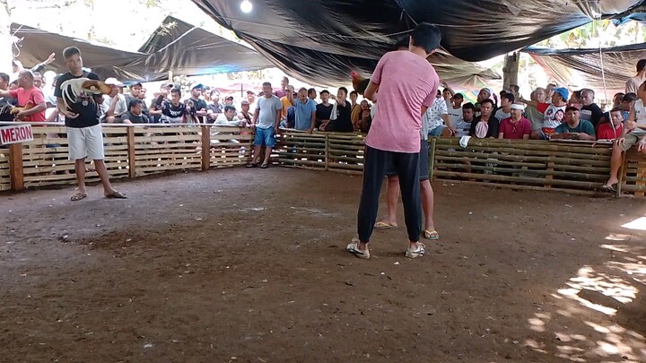 happy fiesta La Purisima Conception.