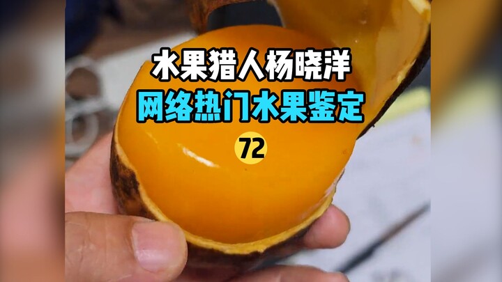 [Thợ săn Trái cây × Hunter] Kiểm định trái cây nổi tiếng trên mạng 72