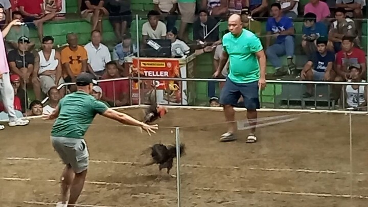 NEW MENDEZ COCKPIT ARENA