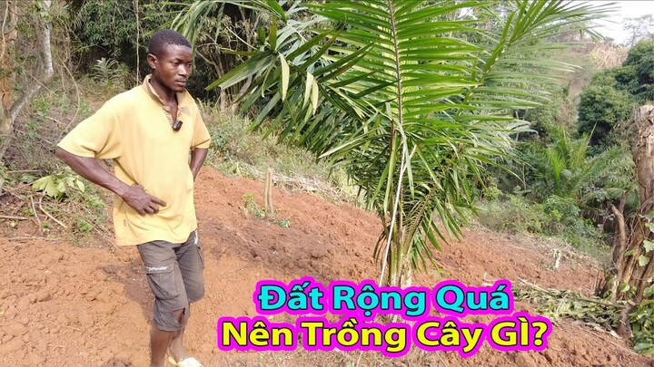 Antonio quy hoạch đất trồng toàn giống cây trồng Việt Nam|| @Família Africano