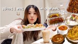 What I eat in a week (Korean food + lots of cooking🧑🏻‍🍳)