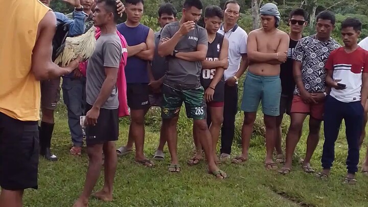 Please 🥺 paki follow for me