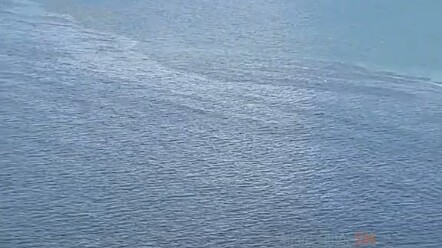 المحيط بعد تصريف اليابان لمياهها النووية في البحر...