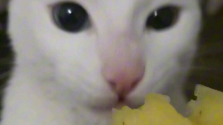 أناناس، لقمة واحدة مقرمشة تمامًا~