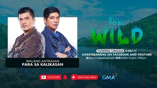 Born to be Wild (June 9, 2024) | LIVESTREAM