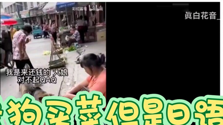 [มาชิโระ คาออน] โลลิต้าญี่ปุ่น ชมผลงานพากย์ของเรนโบว์จัง "ซ่อมหมา ซื้อของชำ แต่เป็นภาษาญี่ปุ่น"
