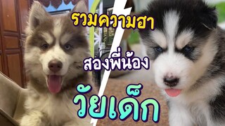 รวมความฮาสองพี่น้องในวัยเด็ก  - ข้าวนึ่ง & เดอะแก๊ง