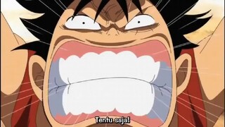 mengharukan, janji kru topi jerami kepada kapten monkey D luffy