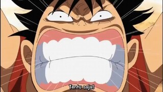 mengharukan, janji kru topi jerami kepada kapten monkey D luffy