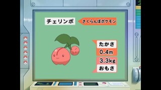 オーキド博士のポケモン大百科(チェリンボ)